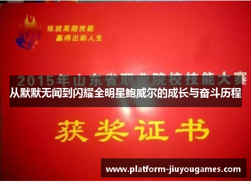 从默默无闻到闪耀全明星鲍威尔的成长与奋斗历程